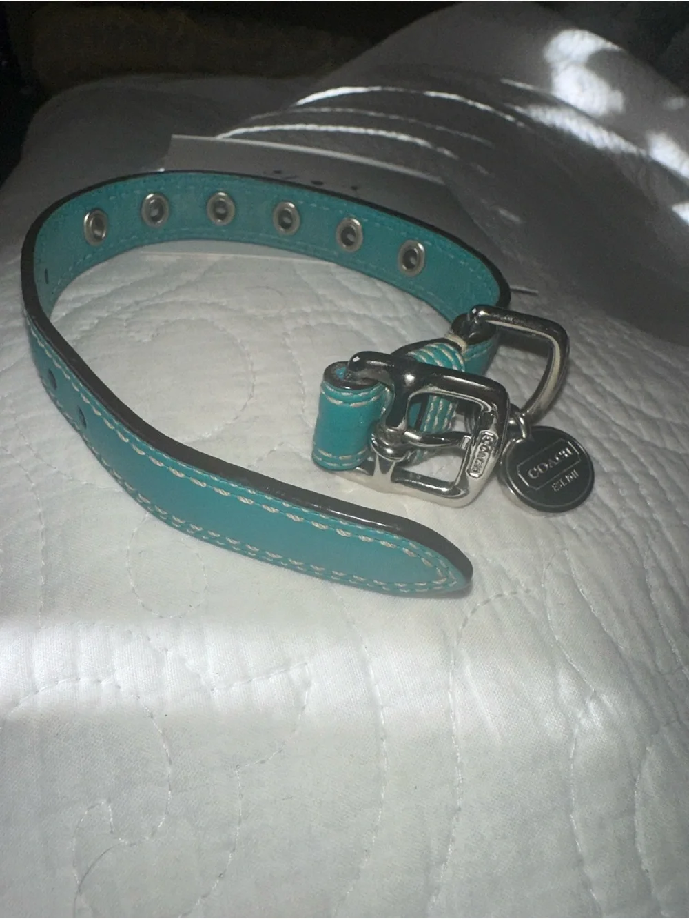 Coach XS Teal Leather Dog Collar with Silver Hardware